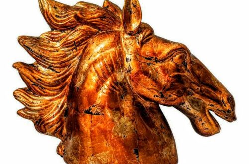 The taming of Bucephalus