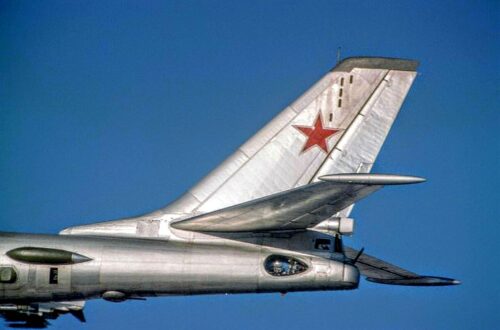 The bird in the Bear – how I miss the Cold War